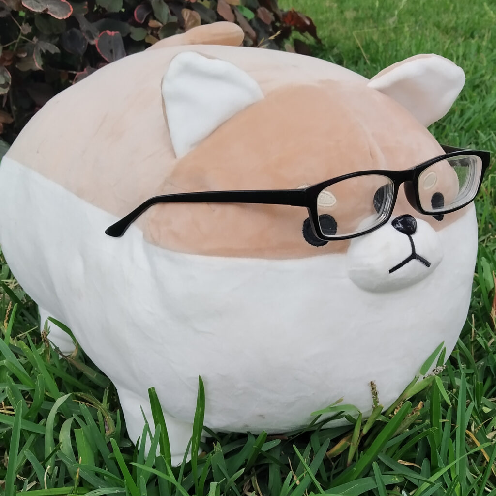 kawaii shiba plush with glasses