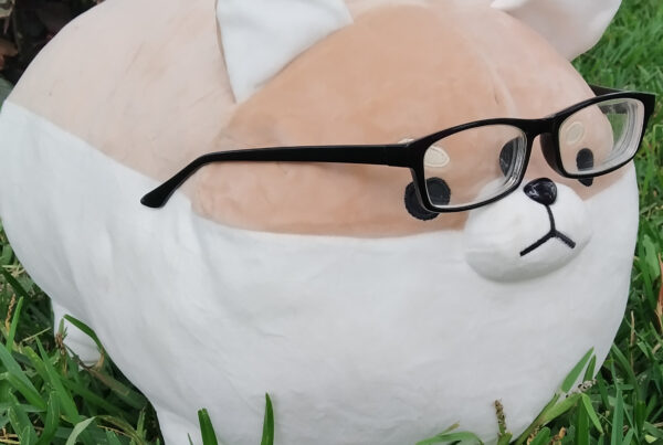 kawaii shiba plush with glasses