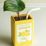 Kawaii juice box flowerpot featuring a small plant in a resin-made juice carton design.