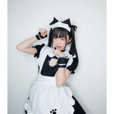 Cat Maid Outfit - Akiba Kawaii Cosplay