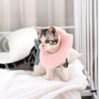 Super Soft Plush Cat Cone Collar word3