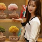 Plush Potted Tree - Pachira Edition word3