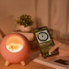 Kawaii Cat Lamp - Little Pet House® word3