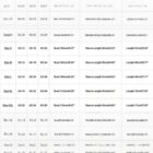 ねこー猫 Neko Pullover Hoodie word3