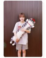 A long cat plushie, Whiskers the Stripped Emperor Cat, being held by a person.