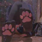 Cat Paw Socks word1