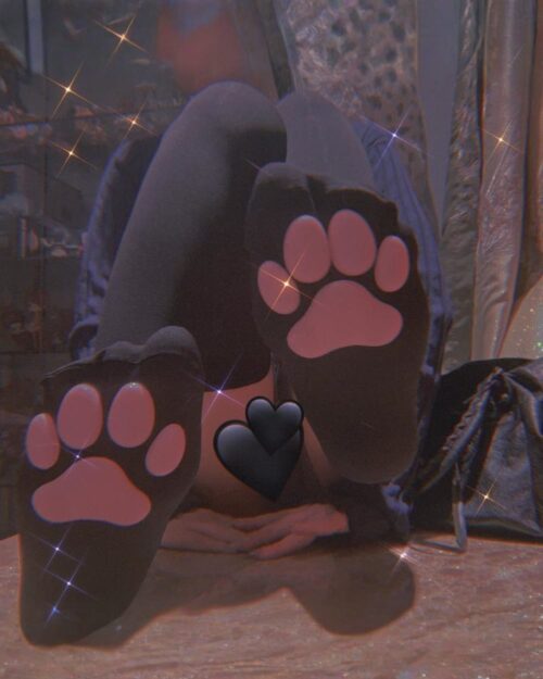 Black cat paw socks on feet, featuring pink paw prints. Comfortable cat paw socks.