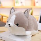 Kawaii Corgi Plushie word2