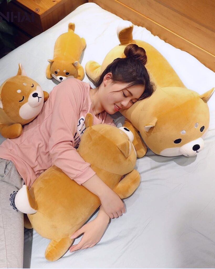 Two adorable Shiba and husky plushies, perfect for a cutecore aesthetic and cuddling.