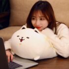 Kawaii Melonwan Plushies word2