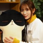 Catoast plushie resting on a wooden surface, with a person holding it.