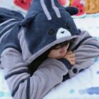 Kawaii Neko Atsume Hoodie - Pickles Edition word2