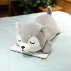 Fred The Shiba and Luna The Husky Plushies word1