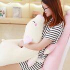 Kawaii Piggy Plushie word3