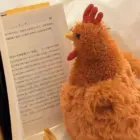 Fat Chicken word3
