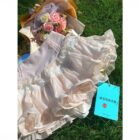 High Waist Ruffled Chiffon Skirt - Coquette Aesthetic word1