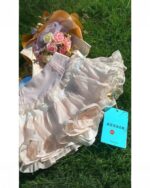 High Waist Ruffled Chiffon Skirt - Coquette Aesthetic, pink, with tag and floral arrangement.