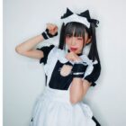 Cat Maid Outfit - Akiba Kawaii Cosplay word2