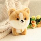Cute Puppy Collectible Plush Collection word1