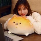 Kawaii Melonwan Plushies word2