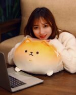 Kawaii melonwan plushie resting on a wooden table.