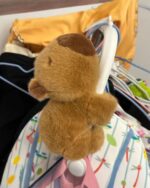 Brown capybara plushie hanging from a clothing rack.