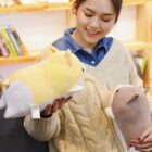 Kawaii Corgi Plushie word2