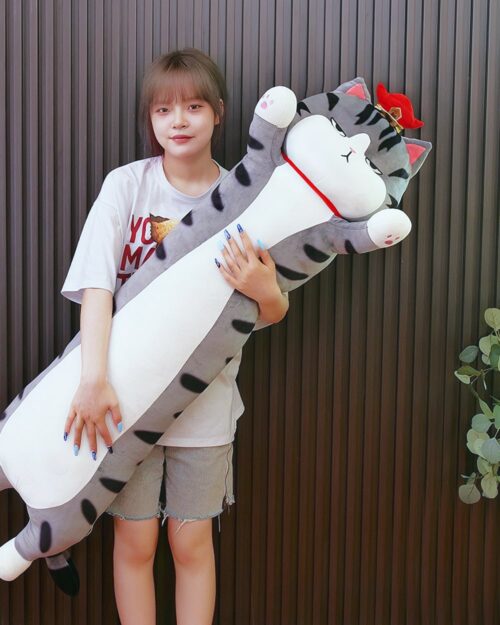 Long cat plushie, Whiskers the Stripped Emperor Cat, held by a person.