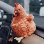 Fat Chicken word3