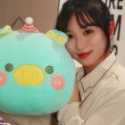 Round Animal Plushies - Hand-warmer Edition word2