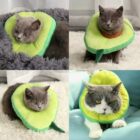 Super Soft Plush Cat Cone Collar word3