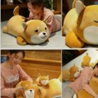 Fred The Shiba and Luna The Husky Plushies word1