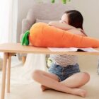 Kawaii Carrot Plushie word1