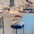 Mushroom Homunculus Plushie word1