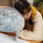 Yuki the Seal Plush and Arale word2