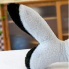 Fins the Chonky Shark word2