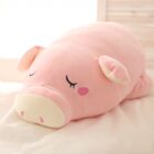 Kawaii Piggy Plushie word3
