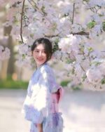A woman wearing a pastel japanese yukata outdoors amidst cherry blossoms.