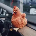 Fat Chicken word3