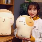 Two soft catoast plushies are held by a person indoors.