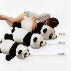 Kawaii Panda Plushies word1