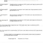 Detachable Two-way Ankle Pants - Y2K Aesthetic word2