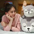 Fred The Shiba and Luna The Husky Plushies word1