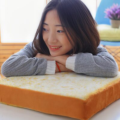 Toast Plush Pillow