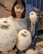 Kawaii super chonky sea lion plushie displayed with a person, soft and cuddly.