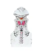 White sleeveless punk hoodie featuring a detailed skeletal graphic and star pattern.