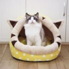 Kawaii Animal-Themed Cat Bed word1