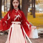 Red Hanfu - Tradition Dress word3