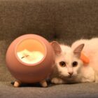 Kawaii Cat Lamp - Little Pet House® word3
