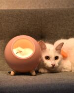 A kawaii cat lamp shaped like a little house sits beside a cat on a couch.